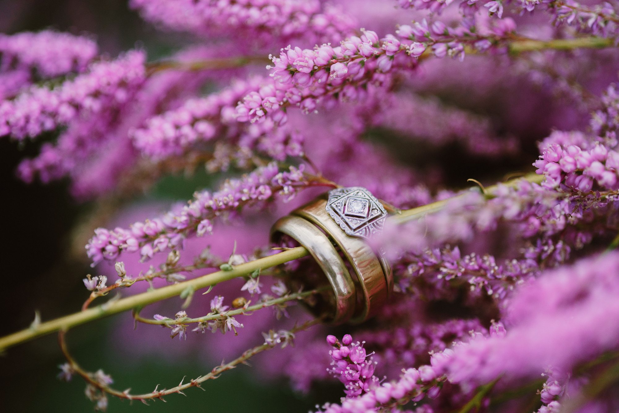 Macro ring shot in purple lilacs | Portland Wedding Photographer